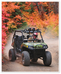 paiute-trail-rzr-action-photo